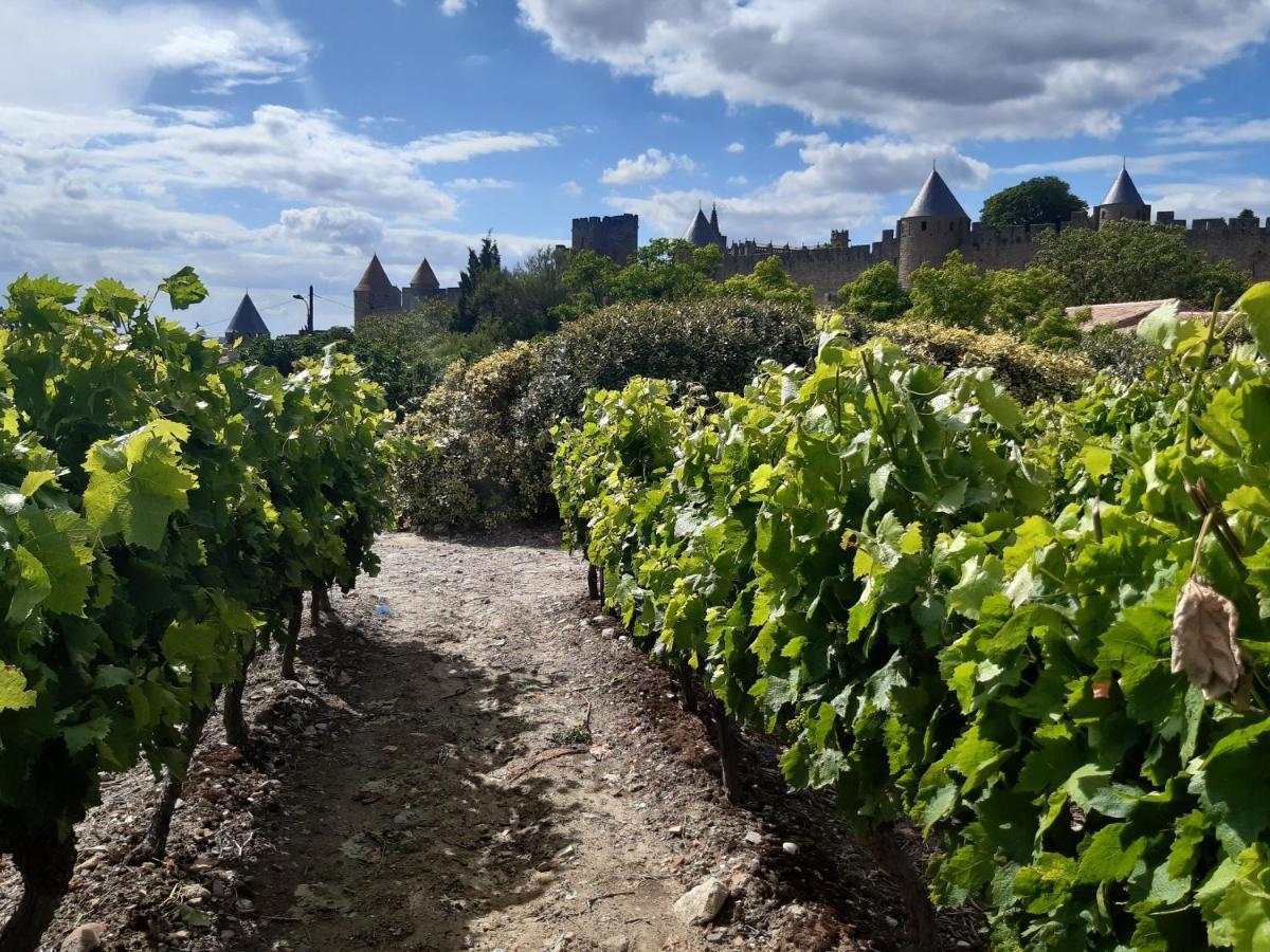 Domaine Fontgrande Gite Carcassone Kültér fotó