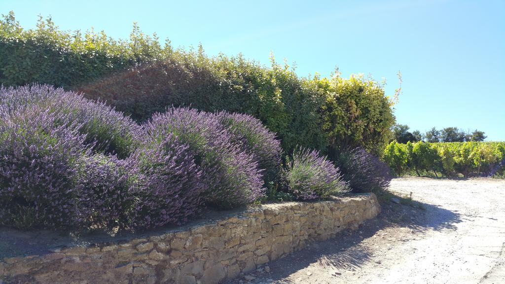 Domaine Fontgrande Gite Carcassone Szoba fotó
