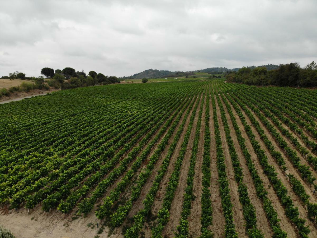 Domaine Fontgrande Gite Carcassone Kültér fotó